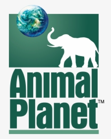 Dream Logos Wiki - Logo De Animal Planet, HD Png Download, Transparent PNG
