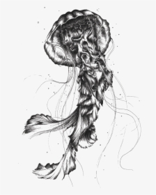 Jellyfish Sketch Png, Transparent Png, Transparent PNG