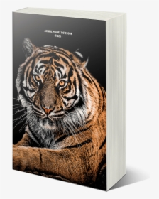 Transparent Animal Planet Png - Tiger Wallpaper 4k Iphone, Png Download, Transparent PNG