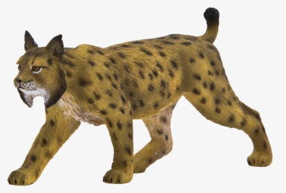 Animal Planet Iberian Lynx , Png Download - Iberian Lynx Png, Transparent Png, Transparent PNG