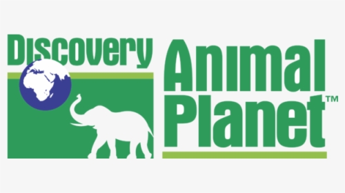 logopedia10 - Discovery Animal Planet Logo, HD Png Download , Transparent  Png Image - PNGitem