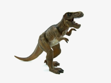 Tyrannosaurus Rex , Png Download - T Rex Stegosaurus Dinosaur, Transparent Png, Transparent PNG