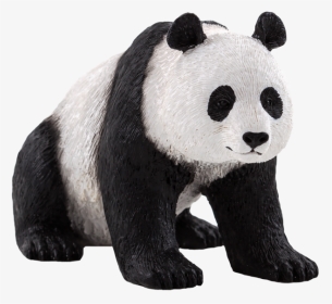 Oso Panda Png Stock - Giant Panda Vector Transparent, Png Download, Transparent PNG