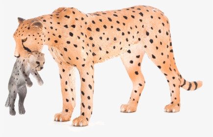 Animal Planet Png, Transparent Png, Transparent PNG