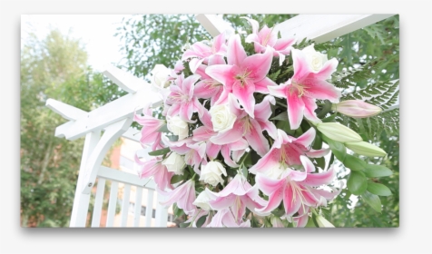 Lillies On An Arch - Lily, HD Png Download, Transparent PNG