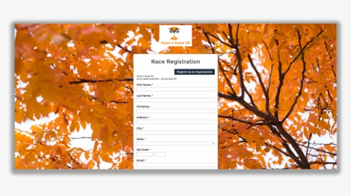 Nonprofit Event Registration Software - Background Images Of Fall, HD Png Download, Transparent PNG