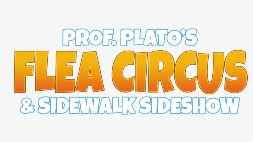 Orange, HD Png Download, Transparent PNG