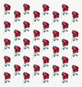 #rose #pattern #flower #background #cute #freetoedit - Hybrid Tea Rose, HD Png Download, Transparent PNG