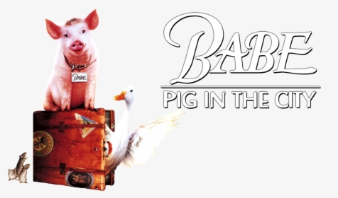 Transparent Babe Png - Babe Pig In The City Png, Png Download, Transparent PNG