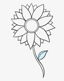 How To Draw Sunflower - Step Easy Simple Sunflower Drawing, HD Png Download, Transparent PNG