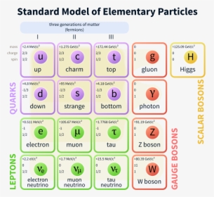 Standard Model Of Elementary Particles, HD Png Download, Transparent PNG