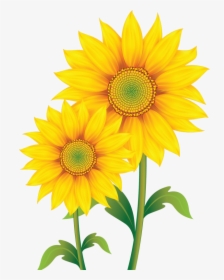 Fleurs Flores Flowers Bloemen - Transparent Background Sunflower Clip Art, HD Png Download, Transparent PNG
