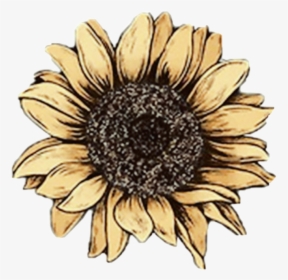 #sunflower #flowers #yellow #yellowaesthetic #yellowflower - Aesthetic Sunflower Tumblr Png, Transparent Png, Transparent PNG