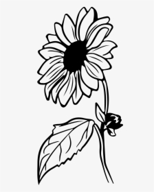 Coloring Page Of Sunflowers, HD Png Download, Transparent PNG