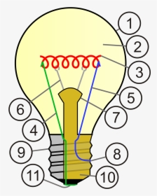 Lampada A Incandescenza Wikipedia - Light Bulb Cross Section, HD Png Download, Transparent PNG