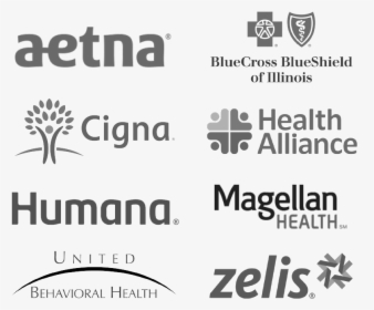 Insurance Logos - Blue Cross Blue Shield, HD Png Download, Transparent PNG