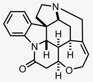 Poly 9 9 Dioctylfluorene, HD Png Download, Transparent PNG
