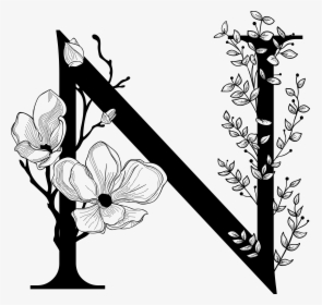 A Mad Pursuit - Letter N Flower Drawing, HD Png Download, Transparent PNG