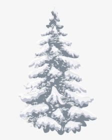 Pine Christmas Tree - Transparent Snow Tree Png, Png Download, Transparent PNG
