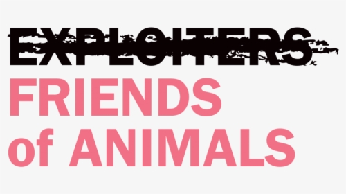 Friends Of Animals, HD Png Download, Transparent PNG