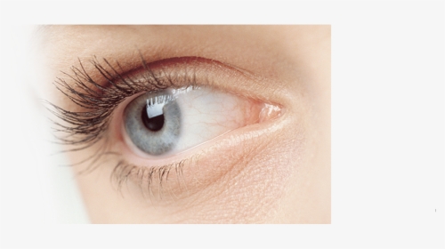 Eye Surgery In New Jersey - Treat Chicken Skin Under Eyes, HD Png Download, Transparent PNG