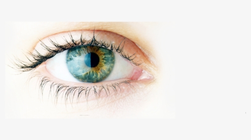 Cataract Eye Surgery In New Jersey - Imagenes Sobre El Ojo, HD Png Download, Transparent PNG