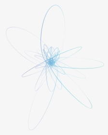Dragonfly, HD Png Download, Transparent PNG