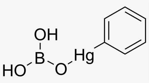 Phenylmercuric Borate - Pyrimidine 5 Boronic Acid, HD Png Download, Transparent PNG