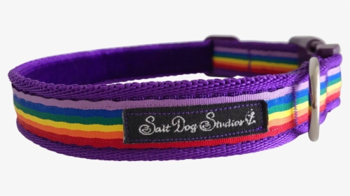 Purple Rainbow Ribbon Dog Collar - Belt, HD Png Download, Transparent PNG