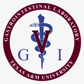 Marmara Üniversitesi, HD Png Download, Transparent PNG