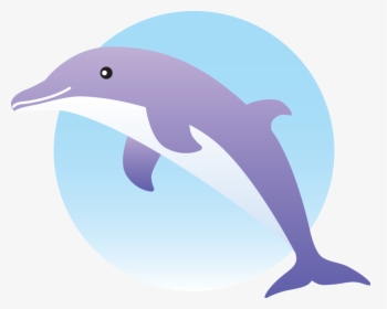 Clipart Dolphin Vector - Common Bottlenose Dolphin, HD Png Download, Transparent PNG