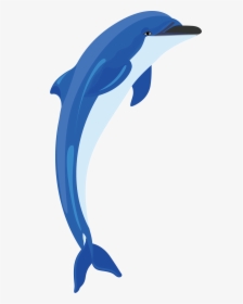 Transparent Dolphin Clipart Free, HD Png Download, Transparent PNG