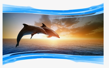 Photos Of Dolphins Jumping - Bottlenose Dolphins In A Sunset, HD Png Download, Transparent PNG