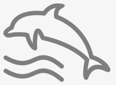 Lessons From Dolphins - Vector Graphics, HD Png Download, Transparent PNG
