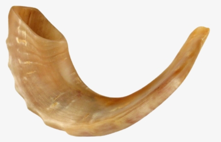 Shofar Png Free Download - Shofar Horn For Sale, Transparent Png, Transparent PNG