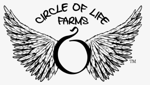 Circle Of Life Farms 😀 - Guitar Band Logo, HD Png Download, Transparent PNG