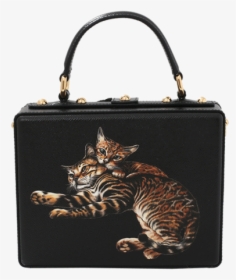 Du0026g Cat Print Box Bag - Handbag, HD Png Download, Transparent PNG