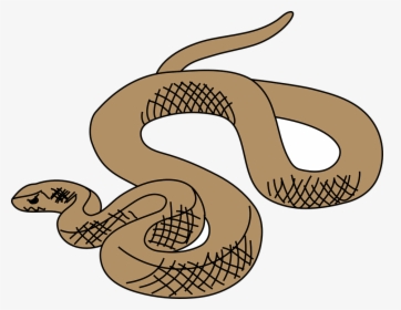 Snake, Brown, Reptile, Slithering, Curled, Slither - Brown Tree Snake Clipart, HD Png Download, Transparent PNG