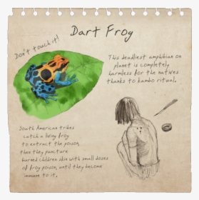 Dart Frog Notebook Page - Green Hell Dart Frog, HD Png Download, Transparent PNG