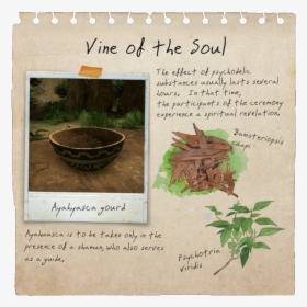 Vine Of Soul Notebook Page - Herbal, HD Png Download, Transparent PNG