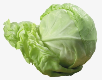 Download This High Resolution Cabbage Transparent Png - Cabbage Png, Png Download, Transparent PNG