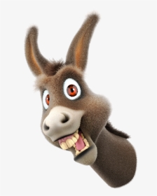 Brazil S Ban On Donkey Slaughter Halts Trade With China - Donkey Face Cartoon Png, Transparent Png, Transparent PNG