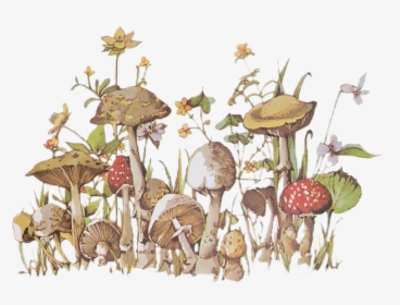 Image - Hongos, HD Png Download, Transparent PNG
