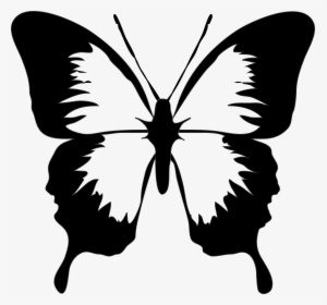 Butterfly Black Butterfly Images Black And White Free - Butterfly Clip Art, HD Png Download, Transparent PNG