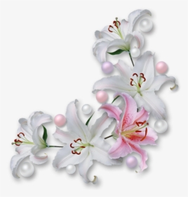 Transparent Fleur De Lis Border Png - White Flower Corner Png, Png Download, Transparent PNG
