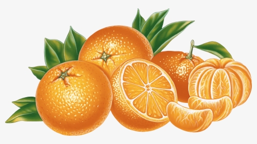 Orange Juice Download - Orange Png, Transparent Png, Transparent PNG