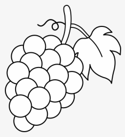 5 - Senses - Clipart - Black - And - White - Clipart Black And White Grapes, HD Png Download, Transparent PNG