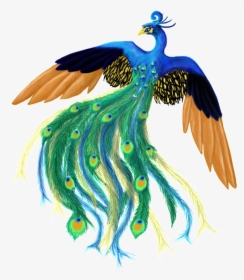 Peacock Png For Illustration, Transparent Png, Transparent PNG