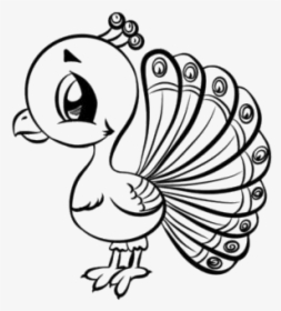 Peacock Drawings Png Transparent Images - Cartoon, Png Download, Transparent PNG