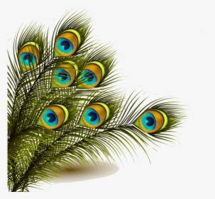 Peafowl Feather Clip Art - Peacock Feather Png, Transparent Png, Transparent PNG